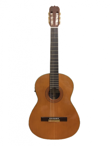 Guitar Classic Matsuoka M80P giá tốt