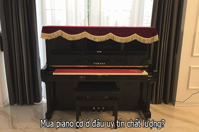 Mua piano cơ ở đâu uy tín chất lượng?