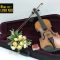 Mua violin giá rẻ tại hà nội