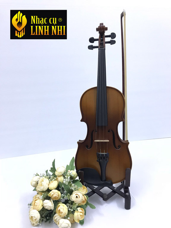 Mua violin tốt giá rẻ tại hà nội