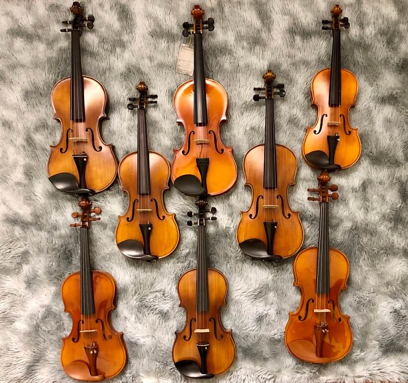 Cho thuê nhạc cụ đàn violin tại hà nội và các tỉnh
