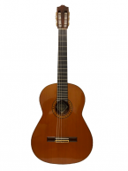 Guitar Classic Fernandes GC40