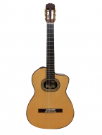 Guitar Classic Takamine PTG 018 giá rẻ
