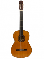Guitar Classic Suzuki C300
