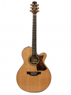 Guitar Acoustic Takamine DMP50S giá rẻ