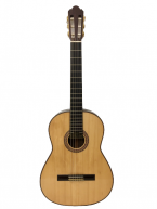Guitar Classic Yukinobu Chai NP10H giá rẻ