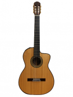 Guitar Classic Takamine DMP370NC N giá rẻ