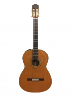 Guitar Classic Takamine PT 307 giá tốt
