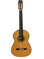 Guitar Classic Takamine No10 giá tốt