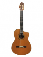 Guitar Classic Takamine PT 310