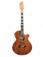 Takamine TSP178ACK N