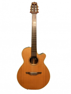 Takamine NPT110N giá tốt