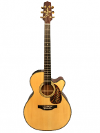 Takamine DMP500CMAD-DC