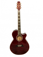 Takamine TDP181AC WR giá tốt
