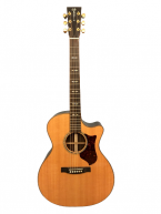 Martin GPCPA1