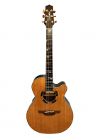 Takamine DSF47C giá tốt