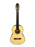 Aria A100-63