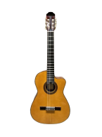 Aria AC-120CE