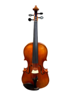 Viola Adam Schmidi Bulenreuth