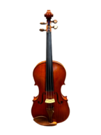 Viola Châu Âu San Antonio A-840