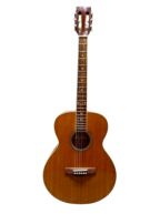 Guitar Acoustic Phoenix