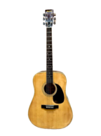 Guitar Acoustic Morris W-20