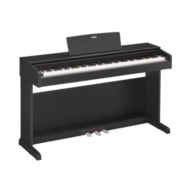 Đàn Piano Yamaha YDP143R