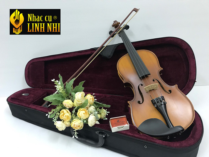 Mua violin giá rẻ tại hà nội