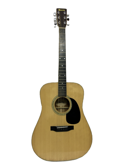 Guitar Acoustic Morris W25
