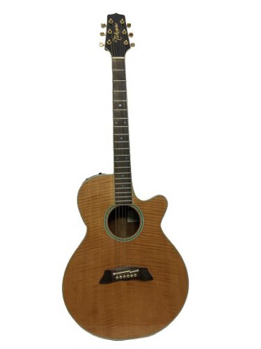 Guitar Acoustic Takamine PT108