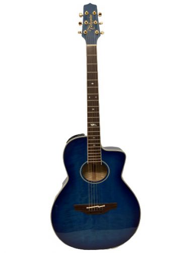Guitar Acoustic Takamine PT610 giá tốt