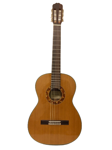 Guitar Classic Takamine TGL1 3 giá rẻ