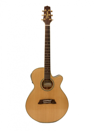 Guitar Acoustic Takamine TSP138C N giá rẻ