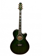 Guitar Acoustic Takamine TDP181AC SGS giá rẻ