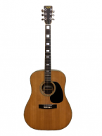 Guitar Acoustic Splendor W-300 giá rẻ