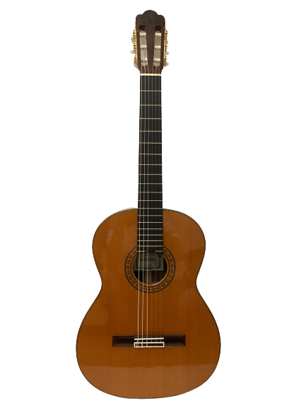 guitar classic asturias no. standard giá rẻ
