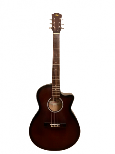 Guitar Acoustic Duy Ngọc A202