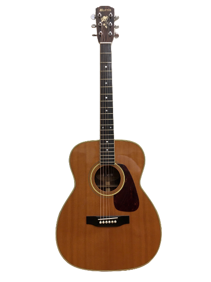 Guitar Morris MS60 giá rẻ