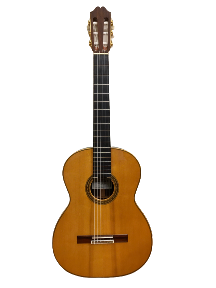 Guitar Classic Sakurai Standard giá rẻ