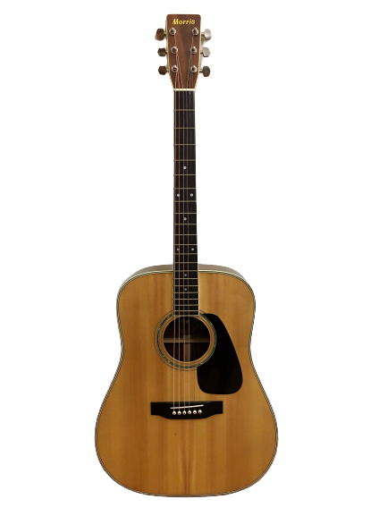Guitar Acoustic Morris MD 510 giá tốt