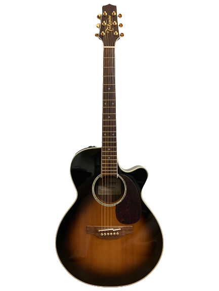 Guitar Acoustic Takamine 100Custom giá rẻ