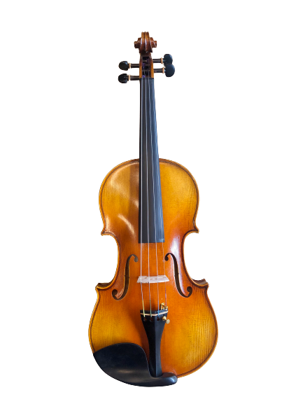 Violin Pinshang V800