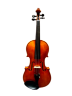 Đàn Violin Suzuki Established No.540 size 3/4