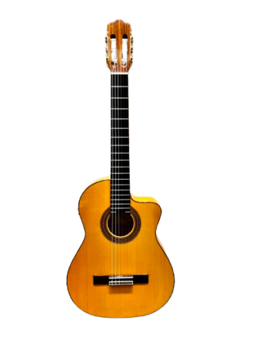Guitar Classic Cordoba 45FCE