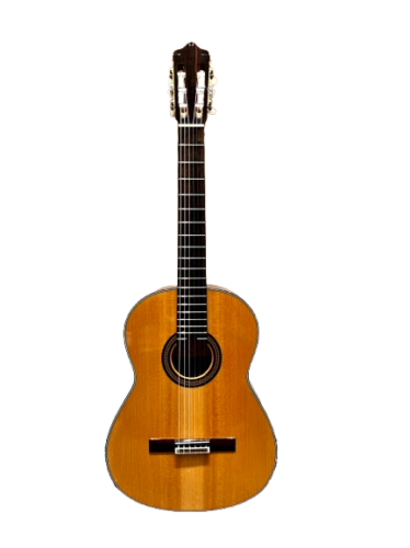 Guitar Classic École Special 1200