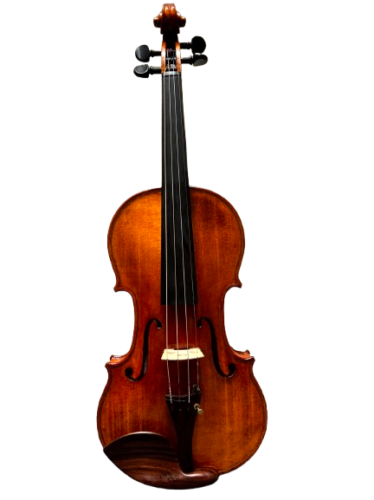 Violin Châu Âu Antoniazzi Ricccardo di Cremona jiglio di Gaetano